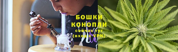 дживик Абаза