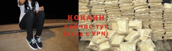 дживик Абаза
