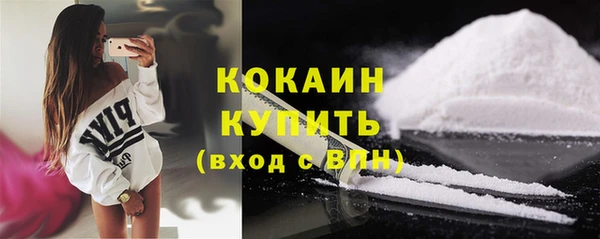 дживик Абаза