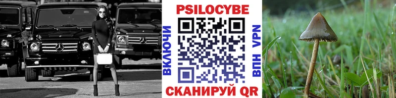 Псилоцибиновые грибы GOLDEN TEACHER  Юрюзань 